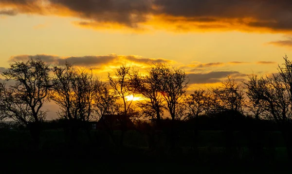 Farbenfroher Sonnenaufgang Einem Windigen Morgen Mit Schwarzen Baumsilhouetten Der Bildmitte — Stockfoto