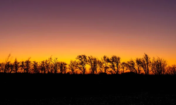 Färgglada Soluppgång Blåsig Morgon Med Svarta Träd Silhuetter Mitten Bilden — Stockfoto