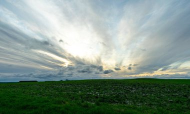 Yeşil bir mısır tarlası ve güzel bir gökyüzü olan basit bir manzara.