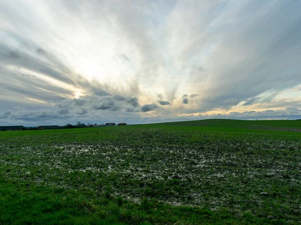 Простий Пейзаж Зеленим Зерновим Полем Красивим Небом — стокове фото