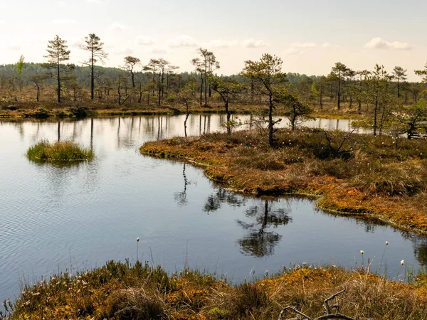 Prachtig Landschap Met Moerassen Moerasmeren — Stockfoto