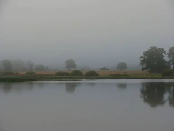 Landschaft Mit Nebelhintergrund Und Verschwommenen Baumkonturen — Stockfoto