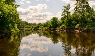 Güzel sakin su manzarası, bulutlar ve ağaç parıltısı.