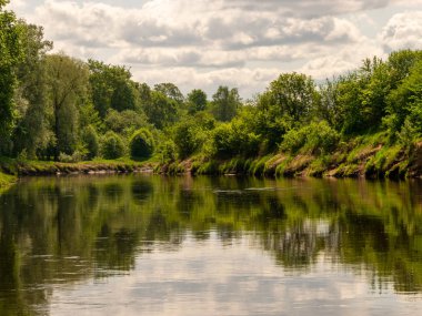 Güzel sakin su manzarası, bulutlar ve ağaç parıltısı.