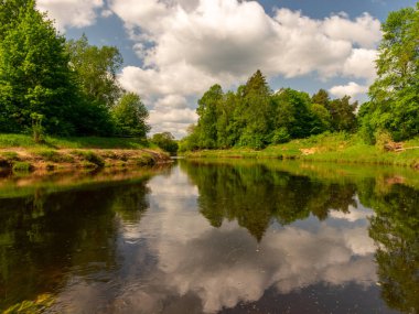 Güzel sakin su manzarası, bulutlar ve ağaç parıltısı.