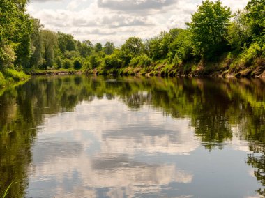 Güzel sakin su manzarası, bulutlar ve ağaç parıltısı.