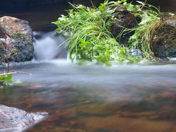 Fluxo Água Rio Floresta Exposição Longa — Fotografia de Stock