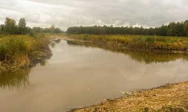Nehirli yaz manzarası, kıyılarda yeşil ağaçlar ve bulutlar, güzel bir parıltı.