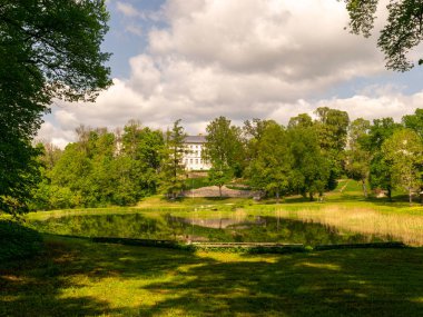 Parkın basit yaz manzarası