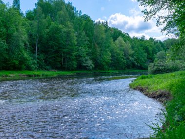 Nehirli yaz manzarası, kıyılarda yeşil ağaçlar ve bulutlar, güzel bir parıltı.