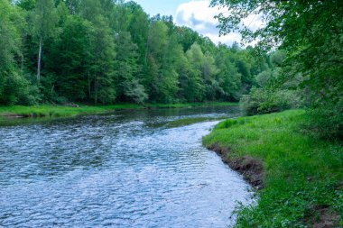 Nehirli yaz manzarası, kıyılarda yeşil ağaçlar ve bulutlar, güzel bir parıltı.