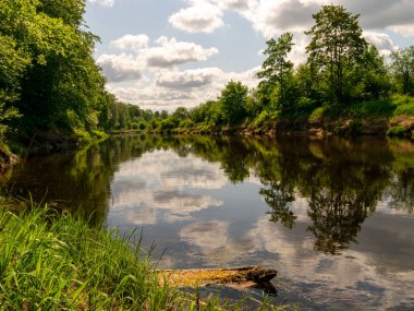 Nehirli yaz manzarası, kıyılarda yeşil ağaçlar ve bulutlar, güzel bir parıltı.