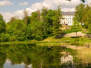 Arka planda eski şatonun olduğu manzara ve bulanık çiçek önplanı, Gaujiena, Letonya