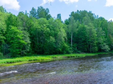 Nehirli yaz manzarası, kıyılarda yeşil ağaçlar ve bulutlar, güzel bir parıltı.