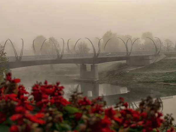 Туманный Пейзаж Размытым Мостом Красными Цветами Переднем Плане — стоковое фото