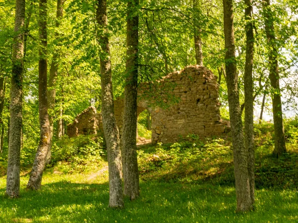 Landschaft Mit Alten Steinruinen Park — Stockfoto