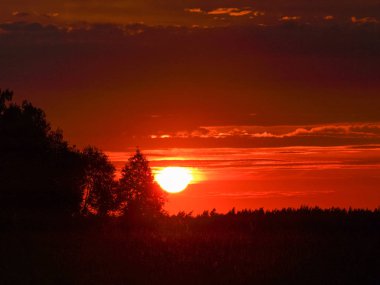  Koyu ağaç siluetleri ile renkli günbatımı manzarası