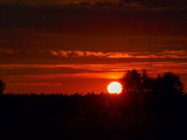  Koyu ağaç siluetleri ile renkli günbatımı manzarası