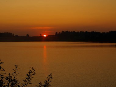  Koyu ağaç siluetleri ile renkli günbatımı manzarası