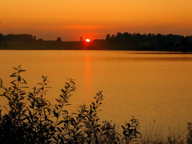  Koyu ağaç siluetleri ile renkli günbatımı manzarası
