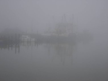 Güzel sis manzarası sabahları