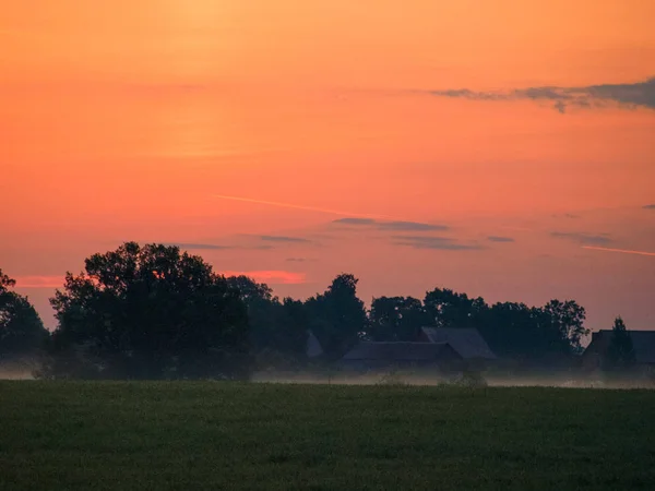 Paysage Coucher Soleil Coloré Avec Silhouettes Arbres Sombres — Photo