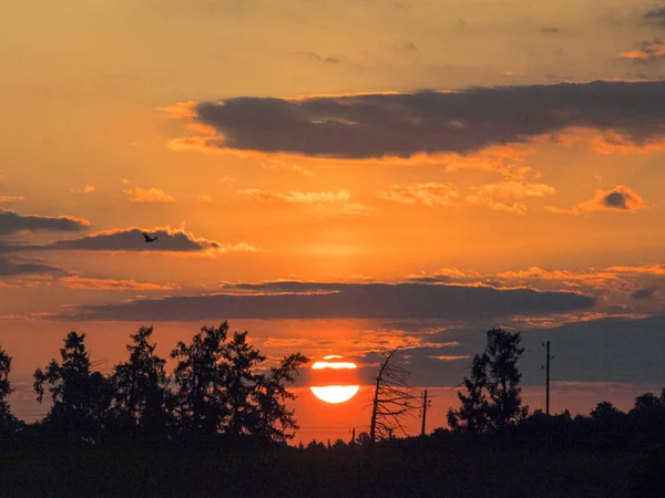 Colorful Sunset Landscape Dark Tree Silhouettes — Stock Photo, Image