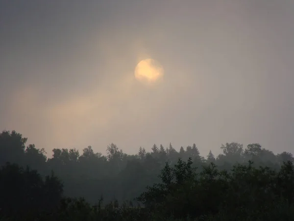 Schöne Nebellandschaft Morgen — Stockfoto