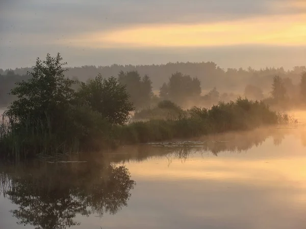 Beau Paysage Brouillard Matin — Photo