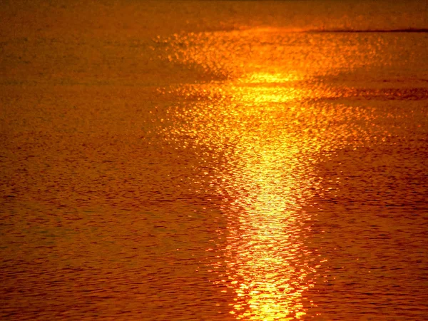 abstract glare of the sun in water