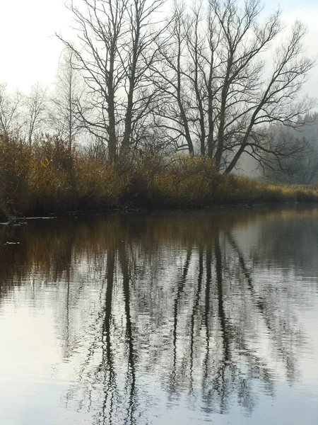 Landschaft Mit Kahlen Bäumen Ufer Des Wassers — Stockfoto