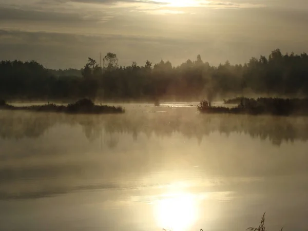Красивий Туманний Пейзаж Вранці — стокове фото