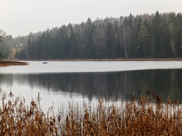 Paysage hivernal avec lac — Photo