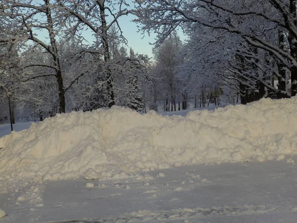 Estrada de inverno branco com árvores no fundo — Fotografia de Stock