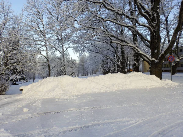 Estrada de inverno branco com árvores no fundo — Fotografia de Stock