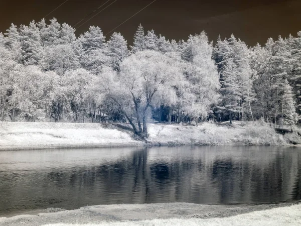 Infrared photography, landscape with river and white trees on sh — Stock Photo, Image