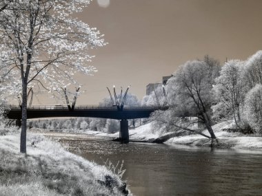 gerçek üstü kızılötesi manzara. Arkaplanda beyaz ağaçlar