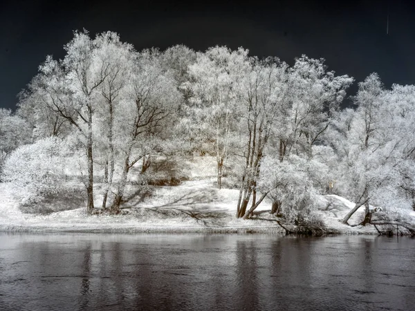 Инфракрасная фотография, пейзаж с речными и белыми деревьями на ш — стоковое фото