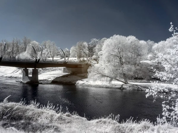 Paisaje infrarrojo surrealista. árboles blancos en el fondo — Foto de Stock