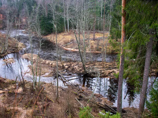 Paysage avec falaise de grès sur la rive de la rivière — Photo