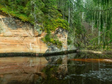 Sahilde küçük bir nehir ve yeşil ağaçlar var.
