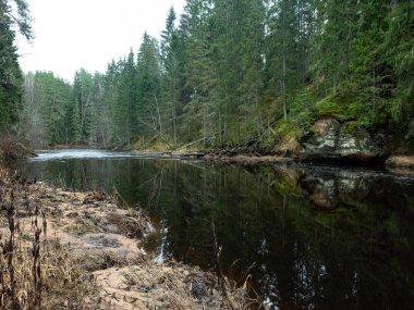 Nehir kıyısında kumtaşı kayalıkları olan manzara