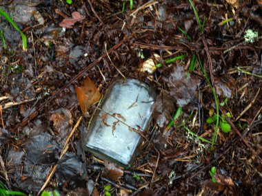 Nehir kıyısına çöp bırakan insanların fotoğrafı.