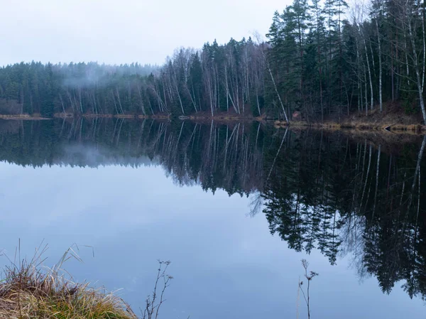 Landskap med vatten och träd på stranden — Stockfoto