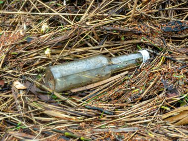 Nehir kıyısına çöp bırakan insanların fotoğrafı.