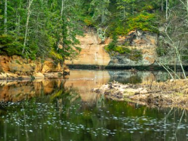 Sahilde küçük bir nehir ve yeşil ağaçlar var.