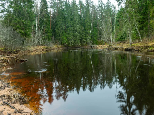 Landschaft mit kleinem Fluss und grünen Bäumen an Land — Stockfoto