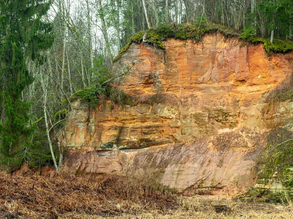 Landscape with sandstone cliff and river — 스톡 사진