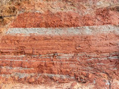 kırmızı ve beyaz kil desenli renkli soyut resim