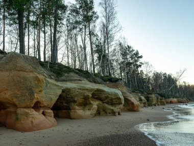 ıssız deniz kıyıları ve kumtaşı kayalıkları olan manzara